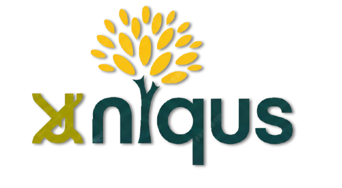 Xuniqus Consulting Logo